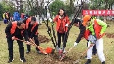 蕲州供电所开展义务植树活动