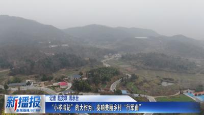 致敬老兵｜“小岑书记”的大作为：奏响美丽乡村“行军曲”