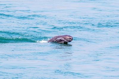 蕲春以“绿”为笔绘生态新景