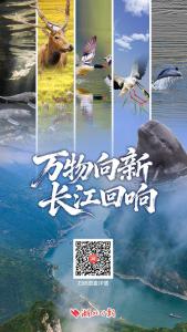 万物向新，长江回响