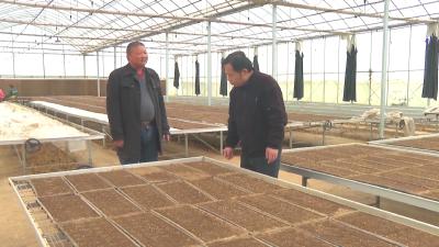 在希望的田野上｜浠水：12 座 “育秧工厂” 解锁 “慧”春耕