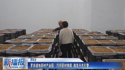 罗田道地药材产业园：巧织药材锦缎 激发兴农引擎