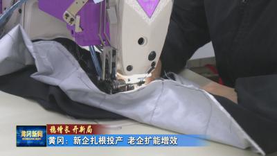 稳增长 开新局｜ 黄冈：新企扎根投产 老企扩能增效