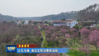 花漾黄冈｜ 以花为媒激活文旅消费新动能