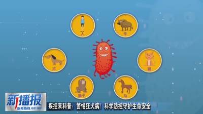 生活小贴士︳疾控来科普：警惕狂犬病！科学防控守护生命安全