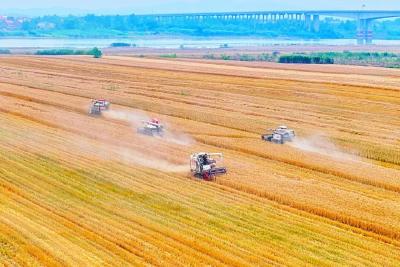 黄冈以“一县一品”推进农业现代化