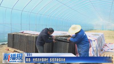 一年之计在于春｜蕲春：抢抓农时春耕忙 多措并举保丰收