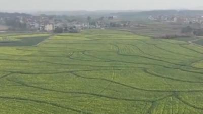降本增速！“水水联运”为春耕化肥运输开辟“高效路”