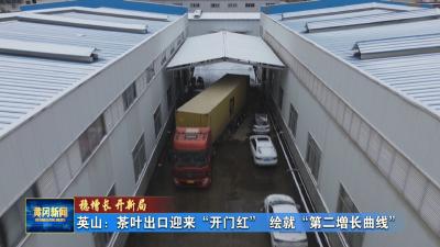 稳增长 开新局｜ 英山：茶叶出口迎来“开门红” 绘就“第二增长曲线”