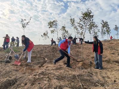 红安县上店社区春季义务植树活动火热开展