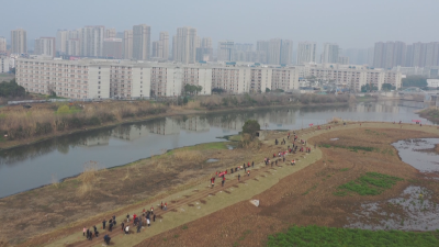 播种绿色希望  守护生态家园   黄州区 临空区开展2026年度义务植树活动 