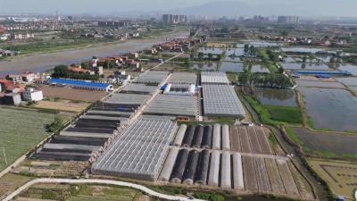 数说黄冈“十四五”｜育强“领头雁” 筑牢“主心骨”