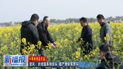一年之计在于春 ︳团风：农技服务到田头 稳产增收有奔头