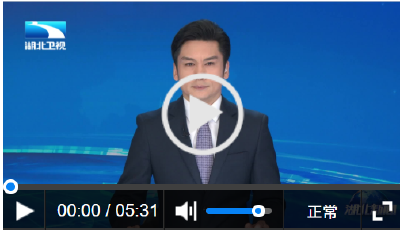 闪亮的足迹·湖北答卷丨全面起势 整体跃升 支点建设开新局