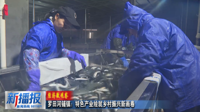 经济微观察︳罗田河铺镇：特色产业绘就乡村振兴新画卷