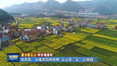 聚力建支点 回乡创业时丨 桂莉莉：从城市回到田野 让山货“云”上俏销
