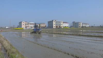 在希望的田野上｜蕲春：抢抓农时忙春耕 环环紧扣保丰收