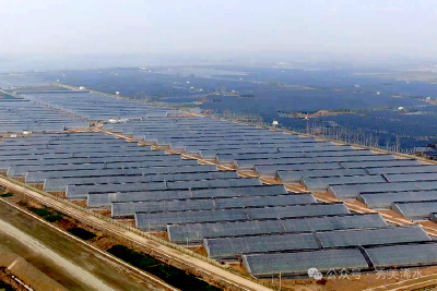 浠水：科技赋能春季“菜篮子”