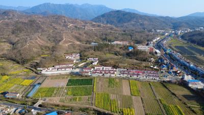 蕲春县开展饮用水水源地专项检查 筑牢民生安全防线