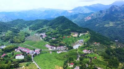 蕲春县管窑镇楼岗村党支部书记王涛——  扎根乡村践初心 实干担当促振兴
