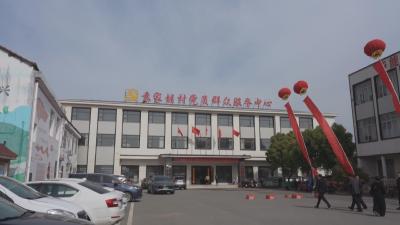 黄州区：袁家铺村村史馆正式投用