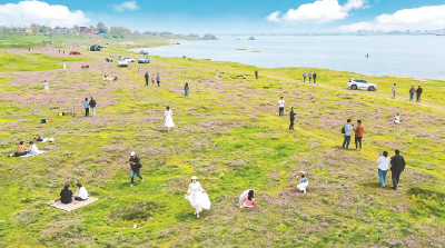 4月14日 早！黄冈 | 市医疗保障局发布公告 ◆ 这些公交线路有调整