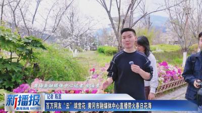 百万网友“云”端赏花 黄冈市融媒体中心直播带火春日花海