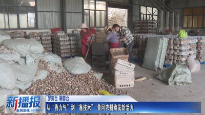 一年之计在于春｜ 从“靠力气”到“靠技术” 黄冈农耕焕发新活力