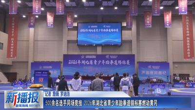 500余名选手同场竞技 2026年湖北省青少年跆拳道锦标赛燃动黄冈