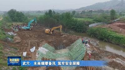 武穴：未雨绸缪备汛 筑牢安全屏障