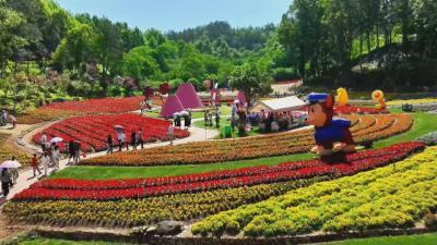 花漾黄冈｜英山四季花海：花开四季 独家浪漫