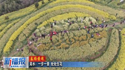 春约黄冈∣浠水：一步一景 处处生花