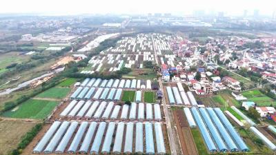 领跑“智造”，密码何在——黄石新质生产力的跃升路径