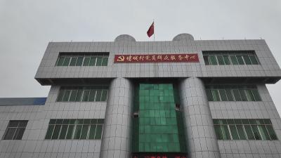 黄州堵城镇“代表活动日”深入项目一线走访