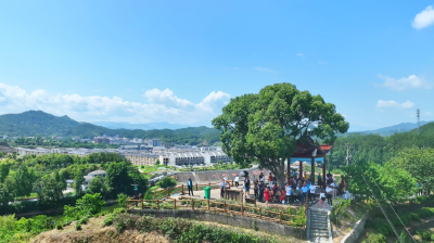 市茶产业链建设工作现场推进会召开