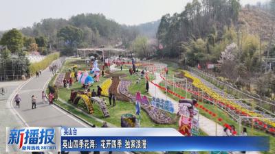 春约黄冈｜英山四季花海：花开四季 独家浪漫