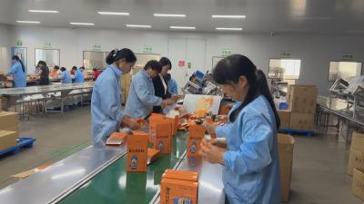 聚力支点建设 推进项目攻坚丨蕲艾创新产品多点开花 传统产业焕发新生机