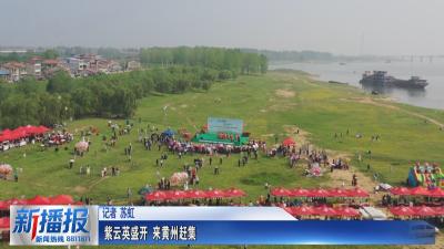 春约黄冈｜紫云英花开 来黄州赶集