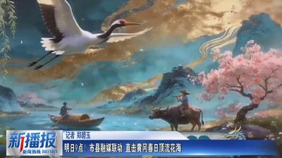 明日9点！市县融媒联动 直击黄冈春日顶流花海