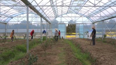 在希望的田野上丨武穴司古塔村：“稻橙双驱” 的致富密码