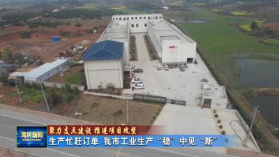 聚力支点建设 推进项目攻坚 I 生产忙赶订单 我市工业生产“稳”中见“新”