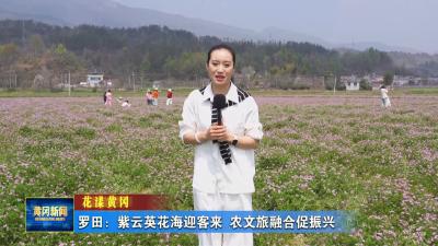 花漾黄冈 I 罗田：紫云英花海迎客来 农文旅融合促振兴