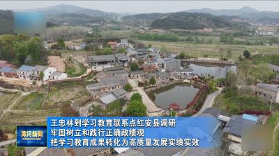 王忠林到学习教育联系点红安县调研 牢固树立和践行正确政绩观 把学习教育成果转化为高质量发展实绩实效