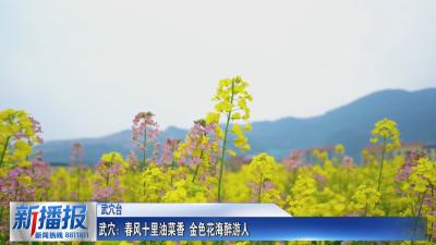 春约黄冈｜ 武穴：春风十里油菜香 金色花海醉游人