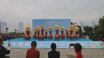 黄州区陈策楼镇第六届月季花季暨乡村旅游推介活动启幕