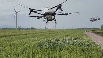 在希望的田野上丨 黄梅：科技赋能 春耕劲头足