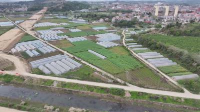 在希望的田野上丨团风总路咀：小苗子种出320万元大产业