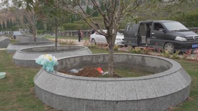 黄州：“生态葬”让生命在绿色中归去