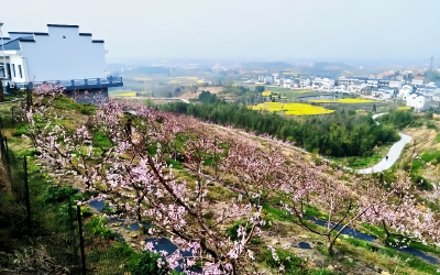 今天，他们笑了，十堰人却红了眼眶