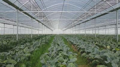 数看黄冈新亮点丨我市一季度实现农林牧渔业增加值96.22亿元